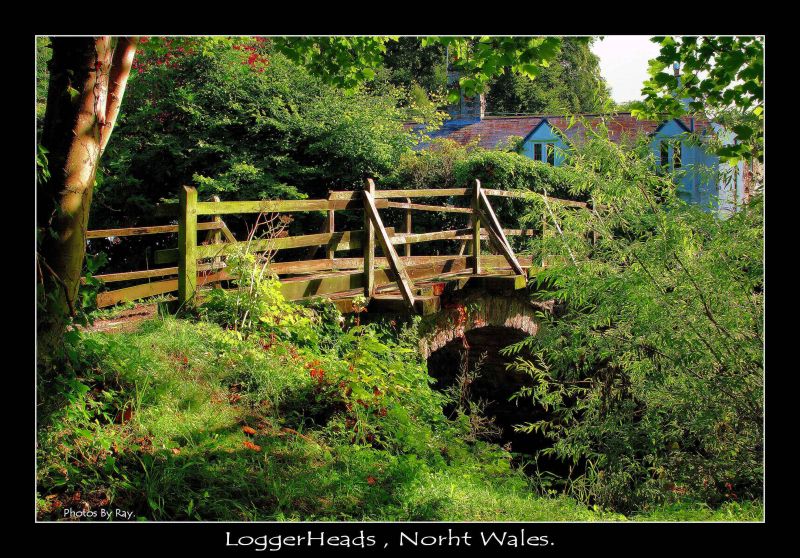 the bridgeloggerheads north wales.jpg